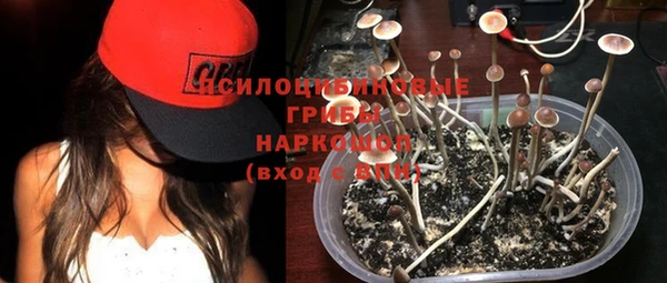 mdma Рославль
