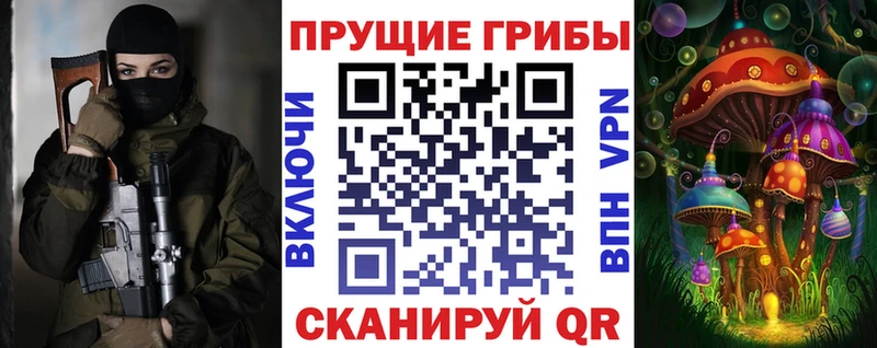 купить наркоту  blacksprut   Псилоцибиновые грибы MAGIC MUSHROOMS  Приморск 